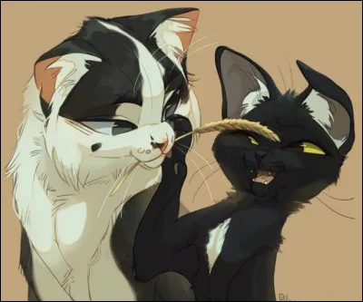 Si tu as répondu non à la première question et léopard à la huitième, quelle couleur préfères-tu ?