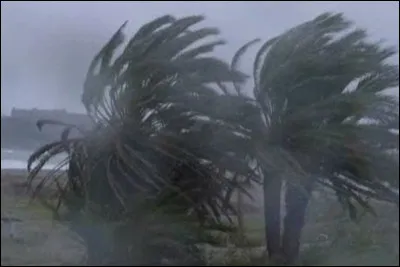 As-tu peur des grosses rafales de vent ?