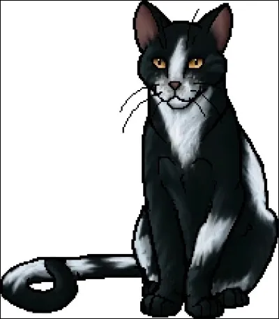 Aimes-tu &Eacute;toile Solitaire ?