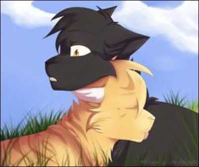 Aimes-tu Pelage de Brume ?