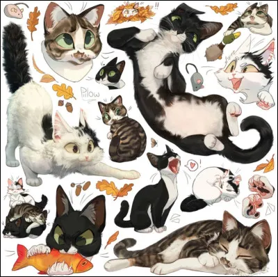 Si tu nas pas répondu ''vairons'', quelle couleur veux-tu ?