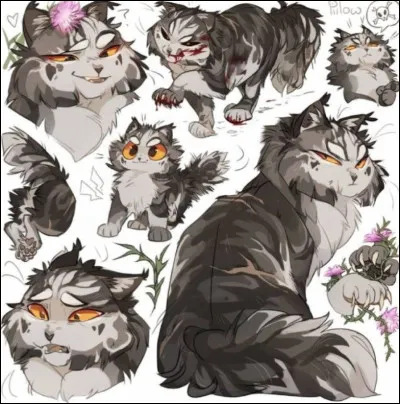 Si tu es un « nuage » actuellement, qui est ton mentor ?