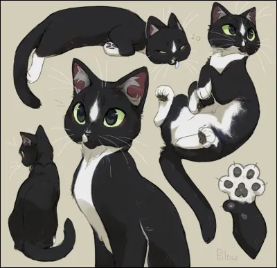 Es-tu un chef, un lieutenant ou un guerrier ?