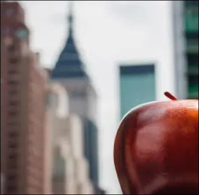 Quelle ville des &Eacute;tats-Unis est surnomm&eacute;e la "Big Apple" ?