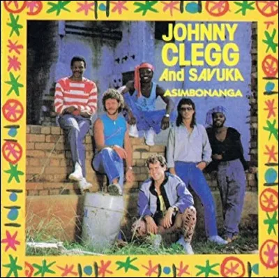 À qui est dédié le titre « Asimbonanga » de Johnny Clegg et Savuka ?