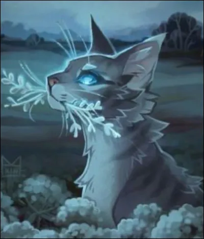 Où vont les guérisseurs pour revoir les ancêtres ?