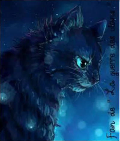 Combien y a-t-il de guérisseurs(seuses) différents dans tous les clans ?