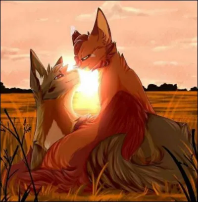 Que se passe-t-il, si un chat errant accepté dans le clan, veut devenir guérisseur ?