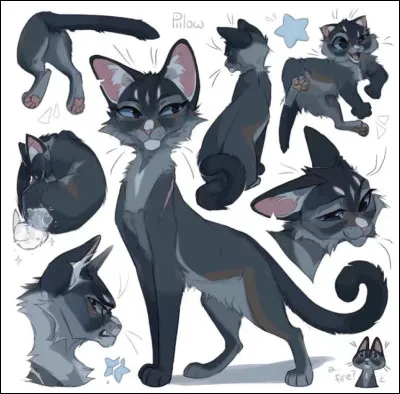 Et parmi eux, tu préfères...