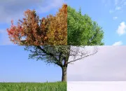 Test Quelle saison es-tu ?