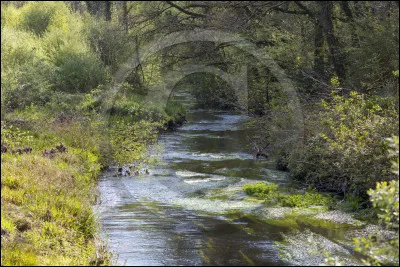 Quel est ce personnage ?