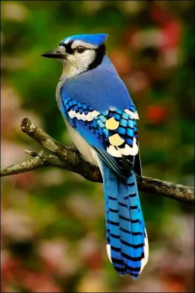 Quel est ce personnage ?