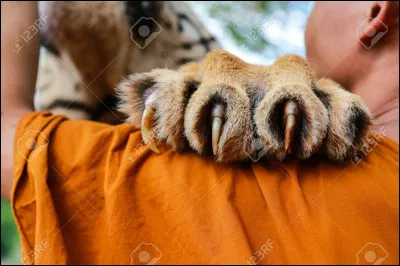 Quel est ce personnage ?