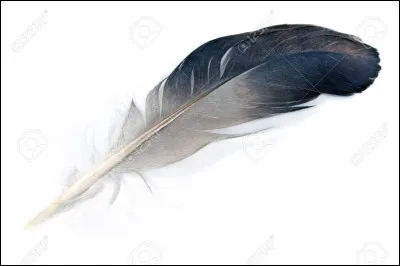 Quel est ce personnage ?