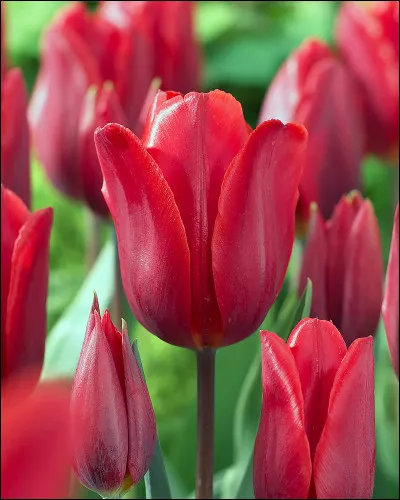 Aimes-tu ce qui sort de lordinaire ?