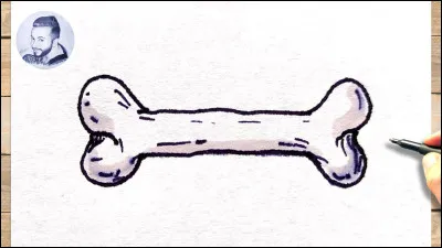 Combien d’os les chats possèdent-ils ?