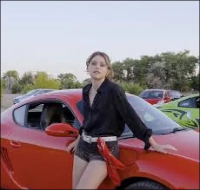 Quel tatouage Nick et Noah ont-ils en commun ?