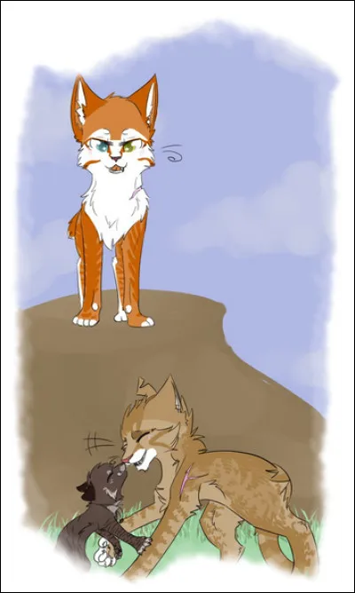 Tu es mentor, que montres-tu en premier à ton apprenti ?