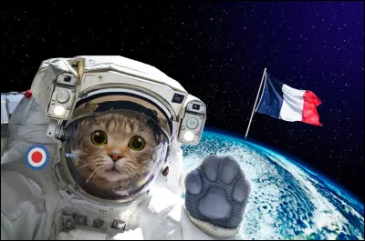 Et pour finir, une petite devinette : Qu'est-ce qu'un chat dans l'espace ?