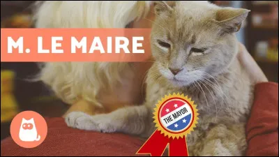 Dans quel État américain un chat a-t-il été élu maire ?