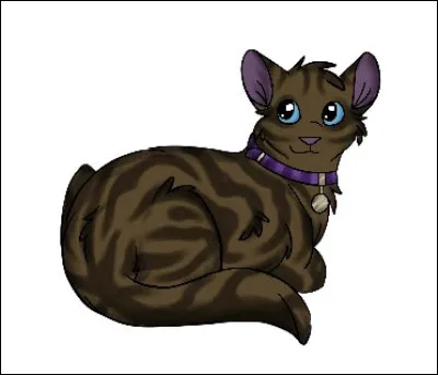 Jessie, une chatte domestique, fait aussi partie des chats enlev&eacute;s, ainsi que...