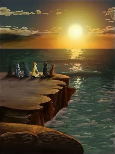 Apr&egrave;s &ecirc;tre arriv&eacute;s l&agrave; o&ugrave; le soleil sombre dans l'eau, les 6 chats font la connaissance de Minuit qui les met en garde contre la destruction de leur for&ecirc;t. Ils s'empressent donc de retourner sur le territoire des clans en passant par les montagnes.Minuit a d&eacute;j&agrave; rencontr&eacute; Isidore. Vrai ou faux ?