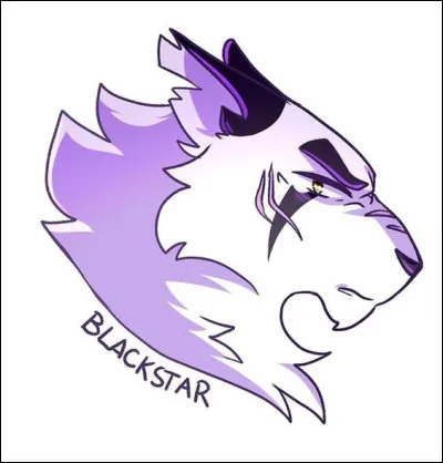 Quel est le motif d'&Eacute;toile de Jais ?