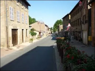 Commune de l'arrondissement de Villefranche-sur-Saône, Rivolet se situe dans le département ...