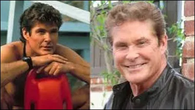 Comment s'appelle le personnage interprété par David Hasselhoff dans "Alerte à Malibu" ?
