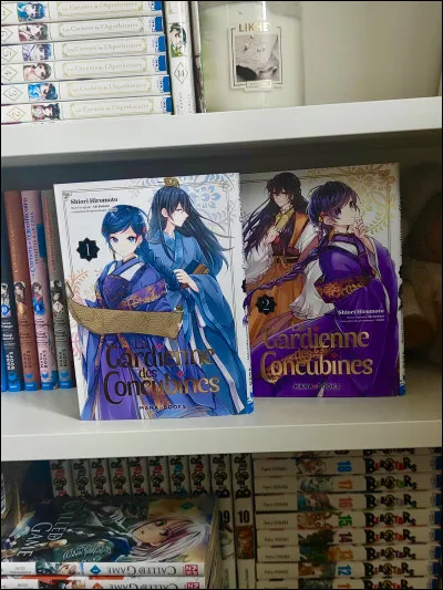 Dans quel manga lhéroïne est-elle mariée ?