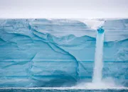 Quiz Gopolitique - Les signataires du trait sur lAntarctique