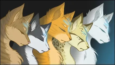 Dans ton nom, tu veux...