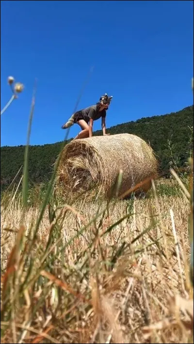 Aimes-tu les animaux ?