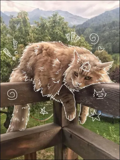 Crois-tu en la réincarnation ?