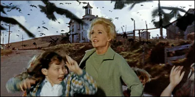 Dans "Les Oiseaux" d'Hitchcock, quelle ville est envahie ?