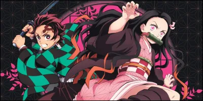 De quel animé viennent ces personnages ?