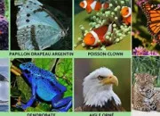 Quiz Les animaux du monde