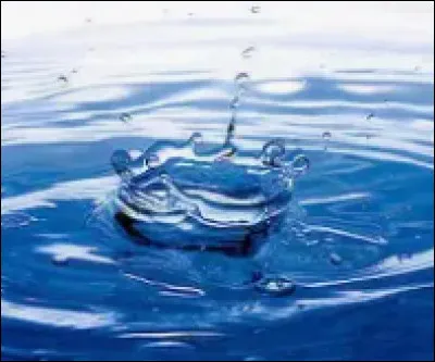 Quel animal marin est capable de produire de la lumière ?