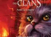 Quiz LGDC - Devinez les chats grce  leur description - ''Avant la tempte''