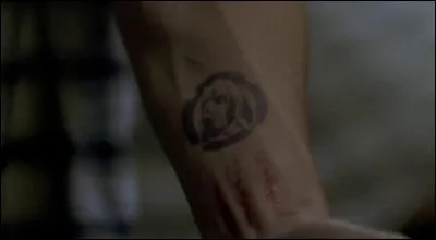 Comment s'intitule cette franchise ?