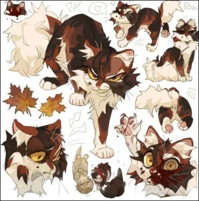 Ombre dÉrable -
De quel clan vient-elle ?