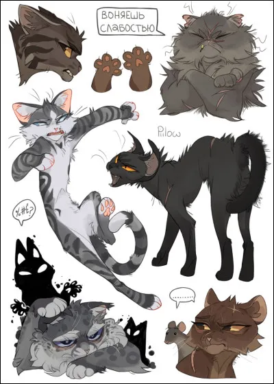 Pelage de Brume -
Qui a-t-il essayé de tuer ?