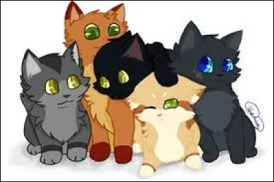 Quel est le trait de personnalité qui te correspond ?