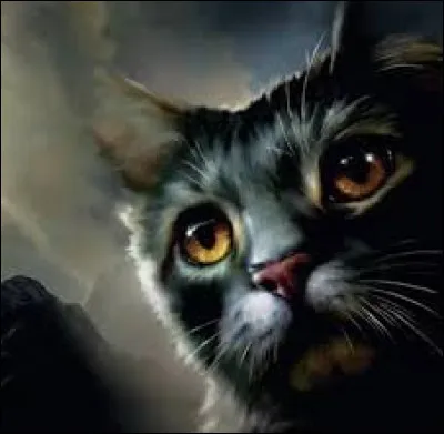 Ils arrivent dans les montagnes et sont abrités par les chats de la Tribu de l'Eau Vive. Que décide Pelage d'Orage ?
