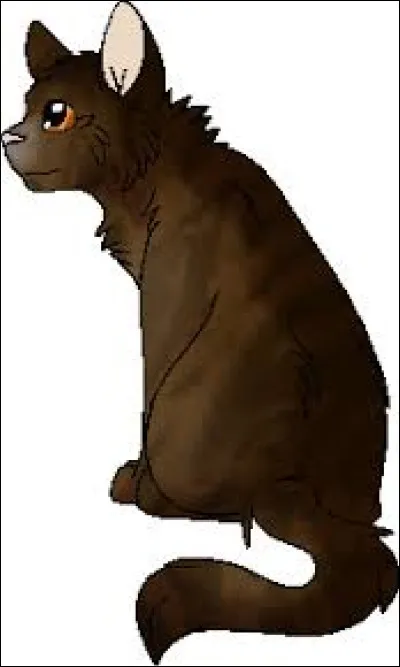 Tome 1 : Quel chat rencontrent-ils lorsqu'ils se font attaquer par un chien ?