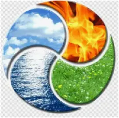 Dans un groupe, tu es souvent celui/celle qui :