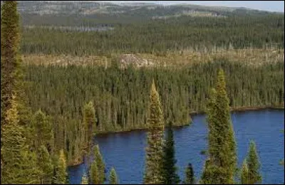 Quel est l'autre nom de la forêt boréale ?