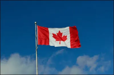 Quelle feuille est représentée sur le drapeau canadien ?