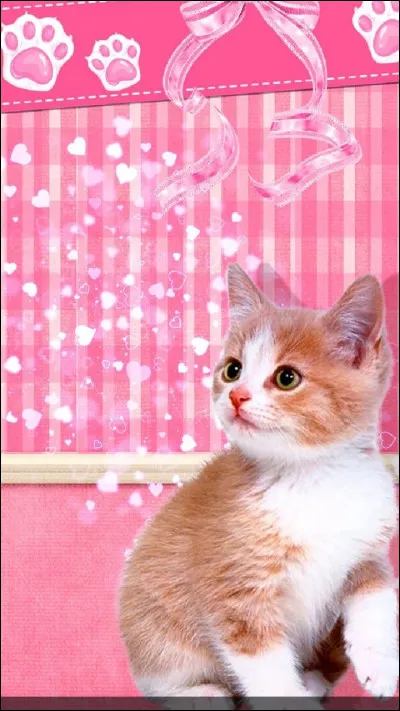 Maintenant des lunettes de soleil, lesquelles aimes-tu ? Partie 1