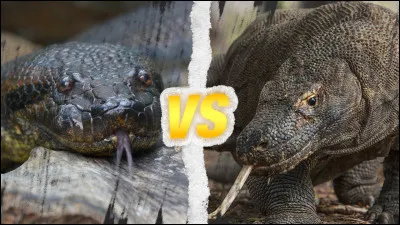 Quelle créature est Ladon ?